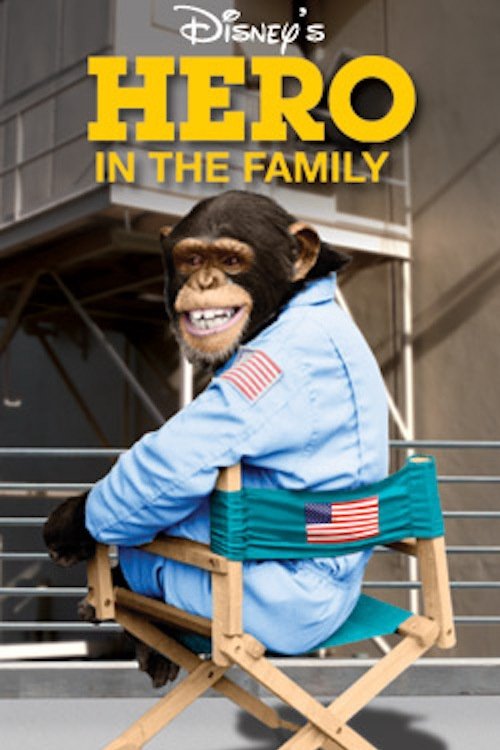 Постер Hero in the Family